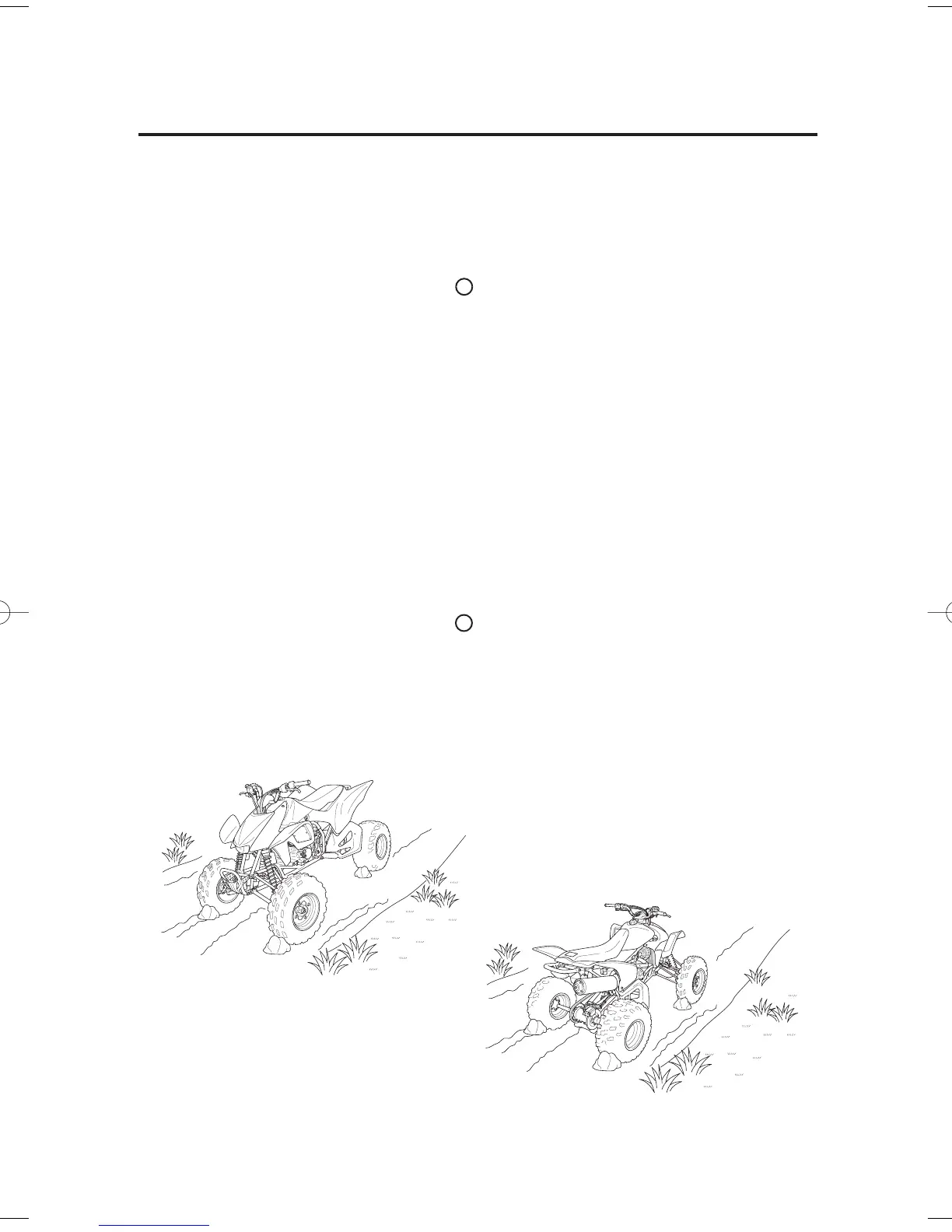 Page #81 background image