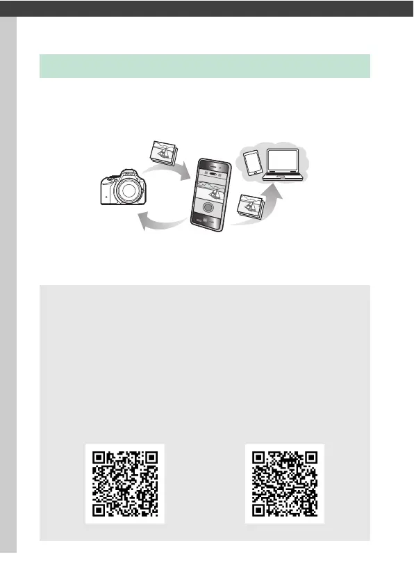 Page #248 background image