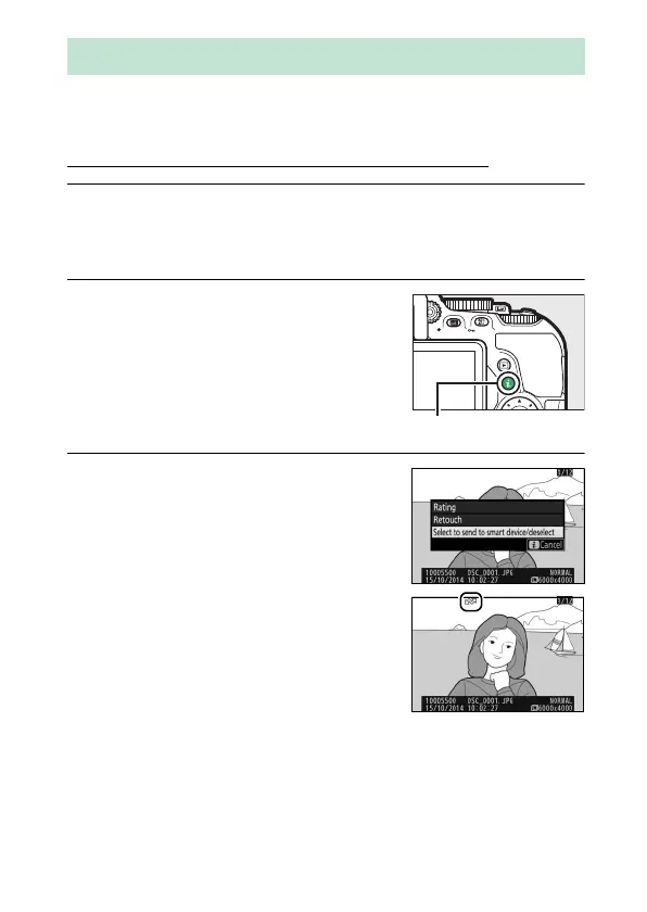 Page #255 background image