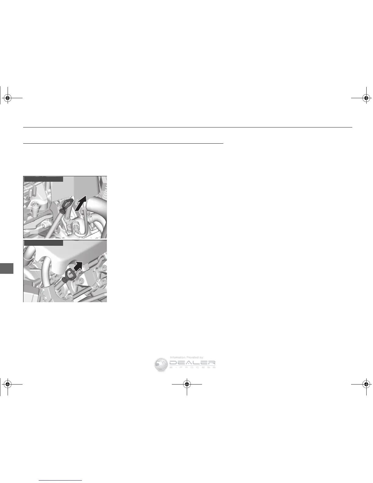 Page #439 background image