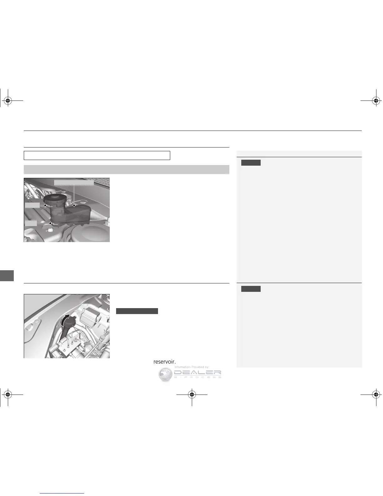 Page #447 background image