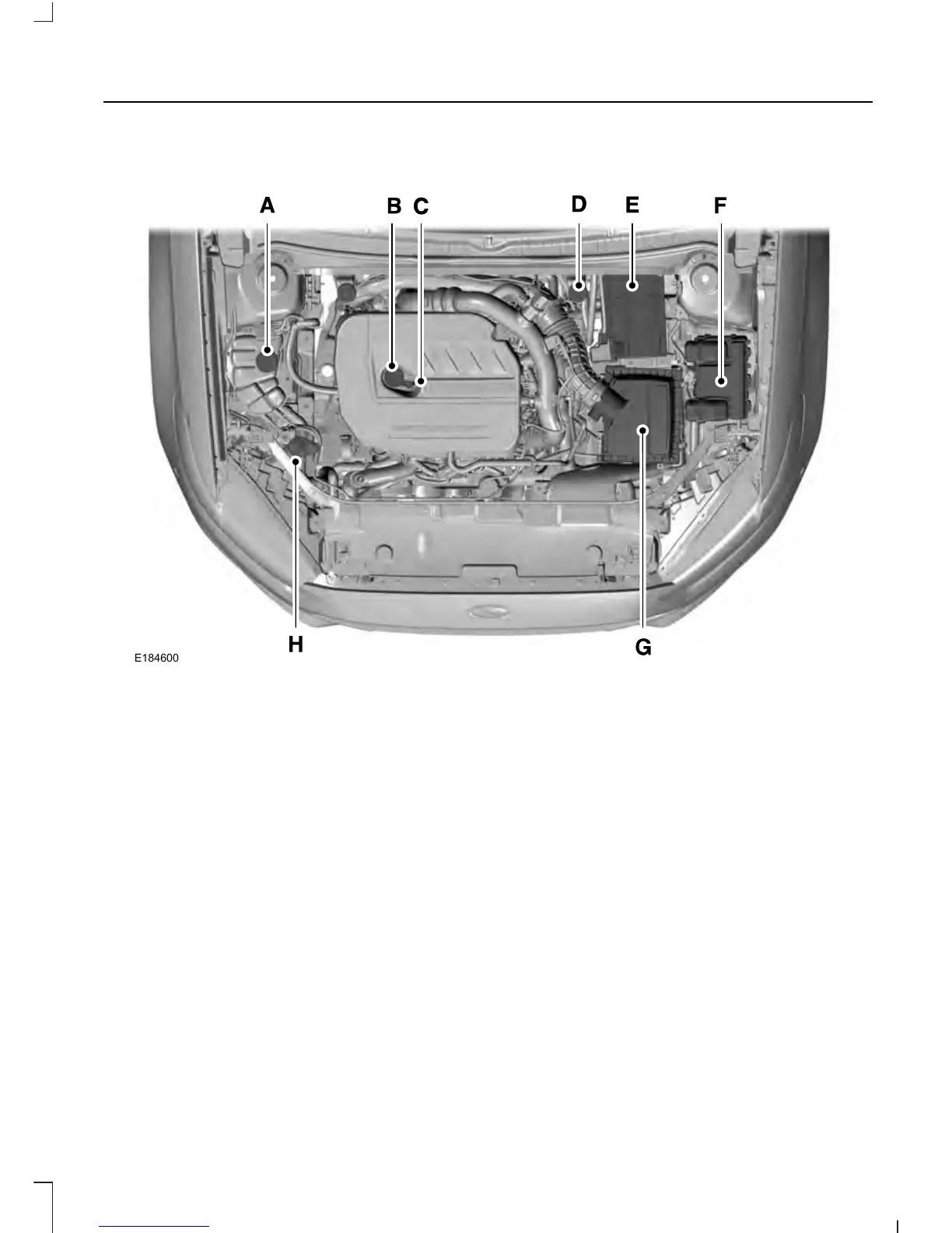 Page #250 background image