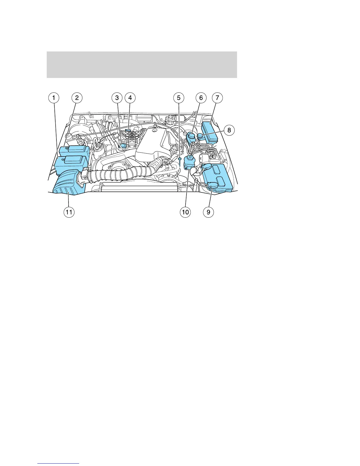 Page #221 background image