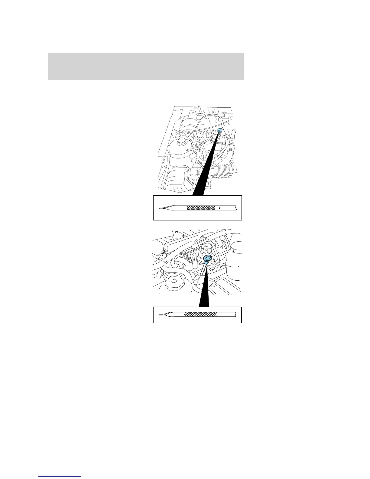 Page #225 background image
