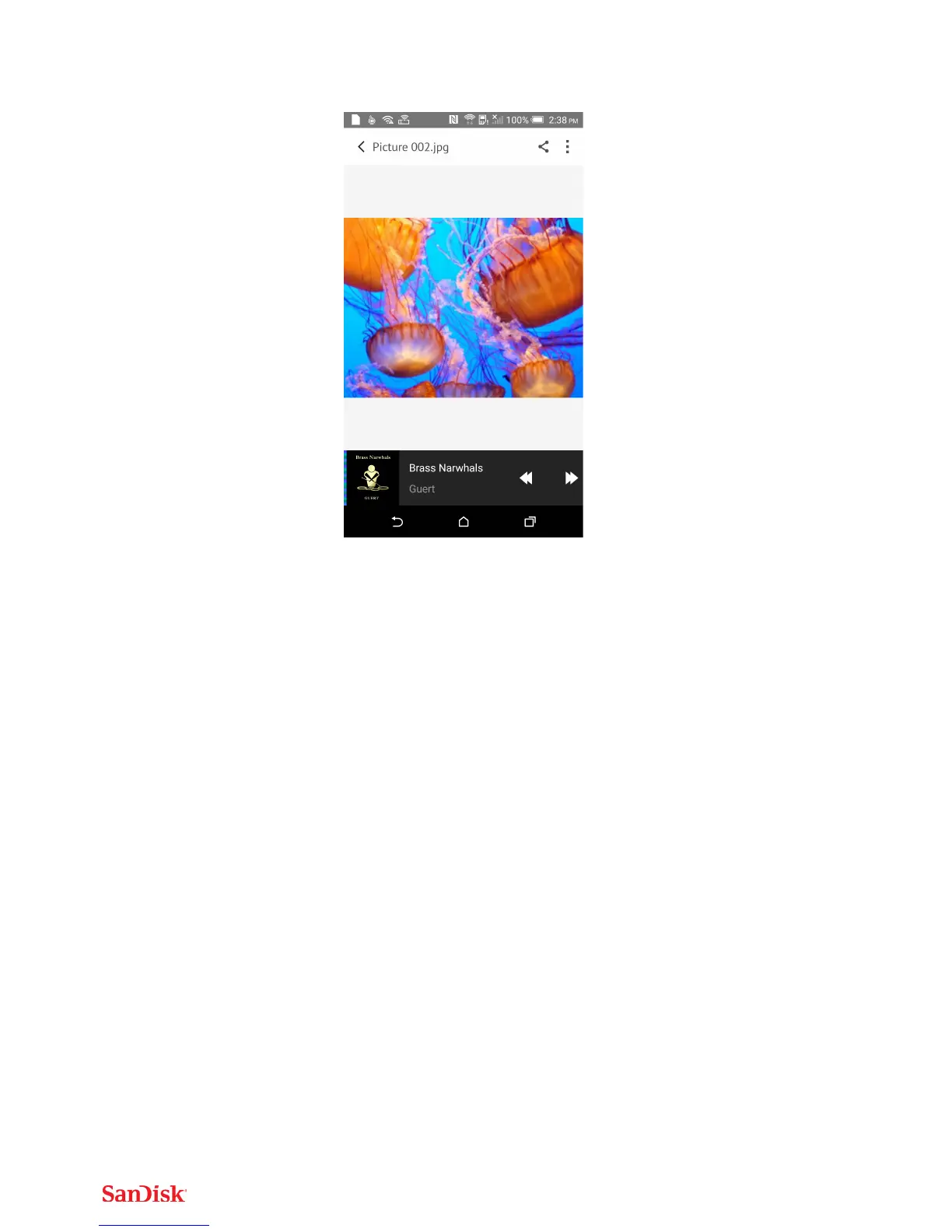 Page #24 background image