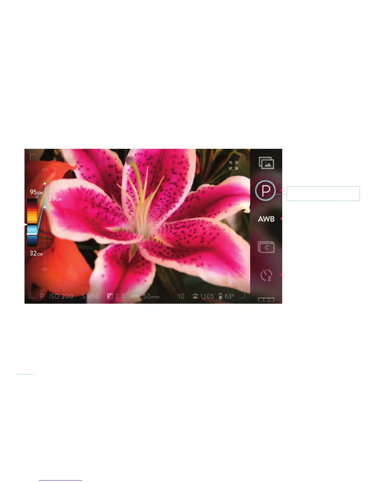 Page #36 background image