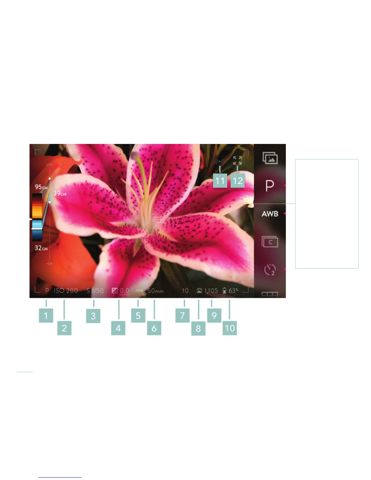 Page #12 background image