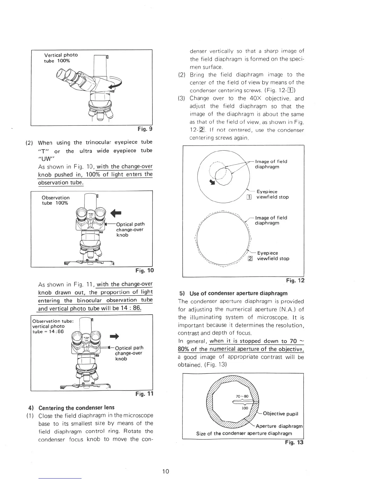 Page #10 background image