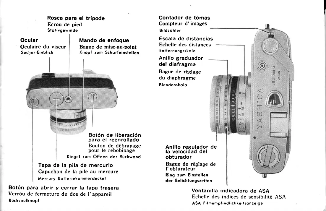 Page #6 background image