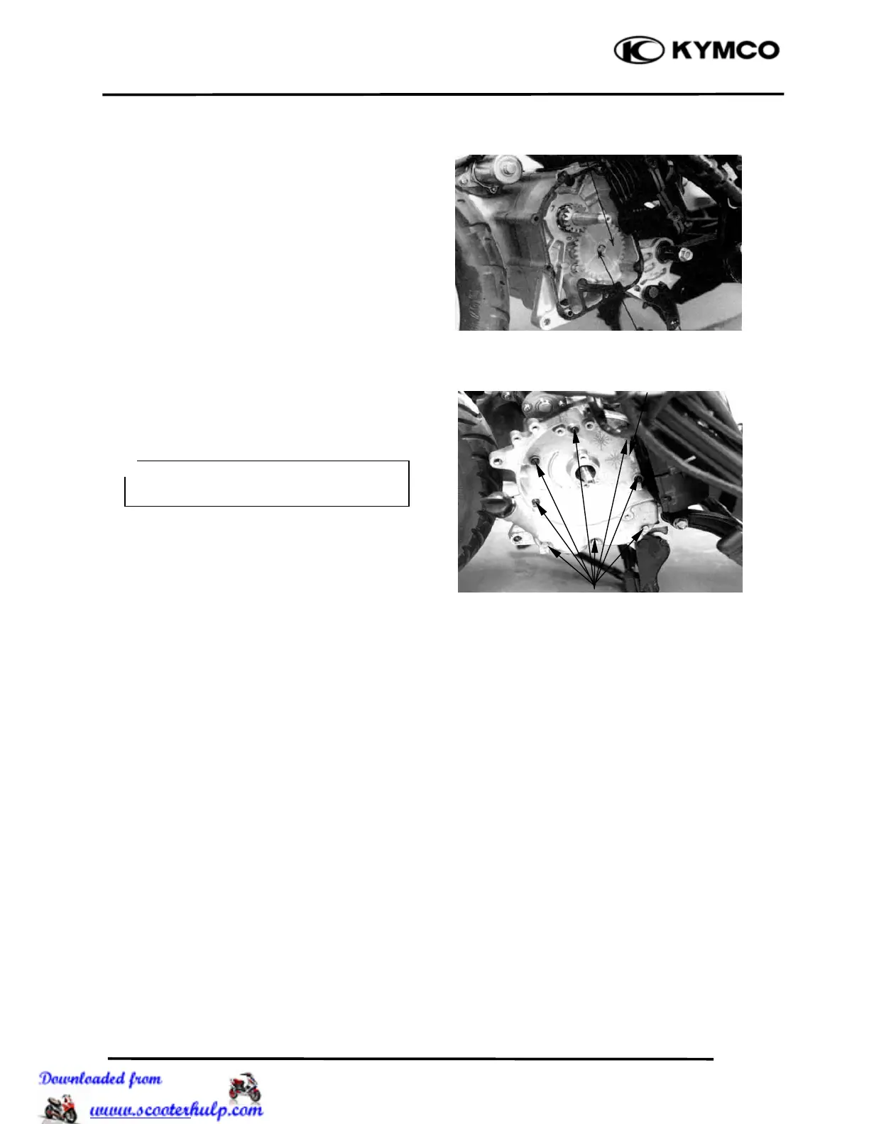 Page #53 background image