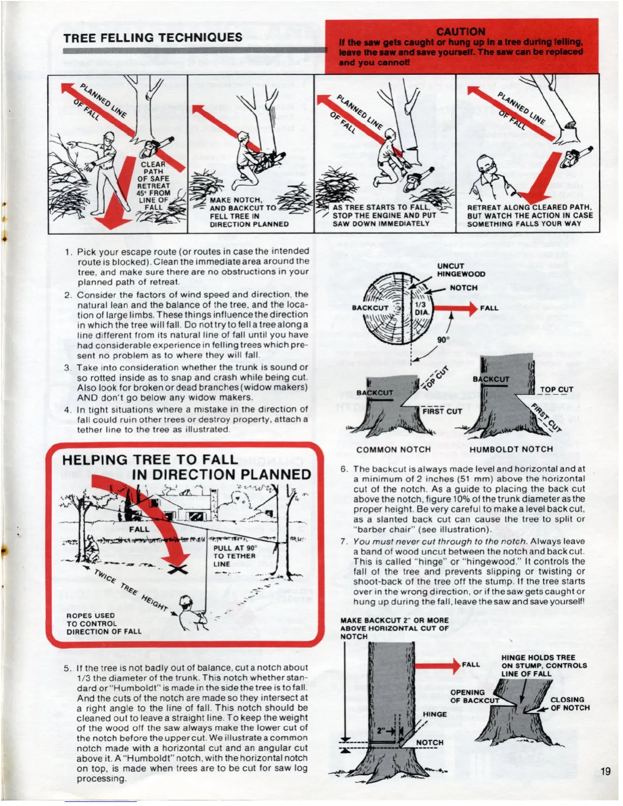 Page #19 background image