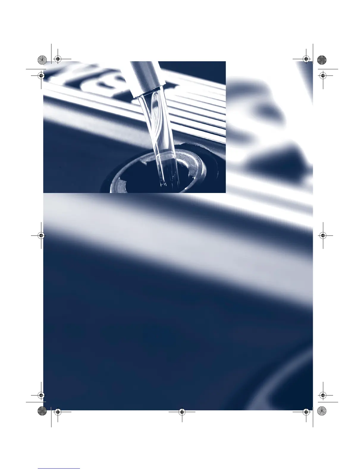 Page #265 background image