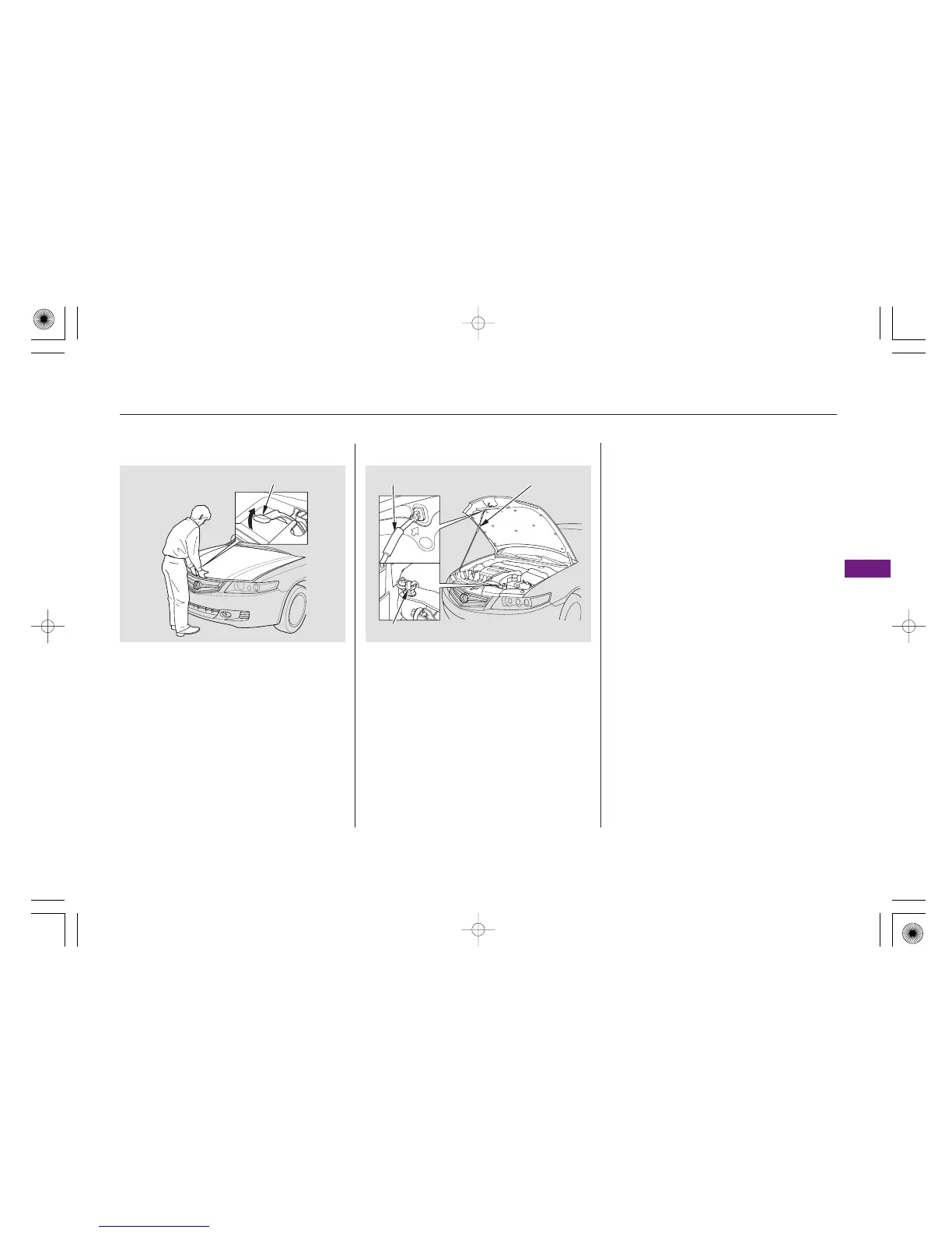 Page #239 background image