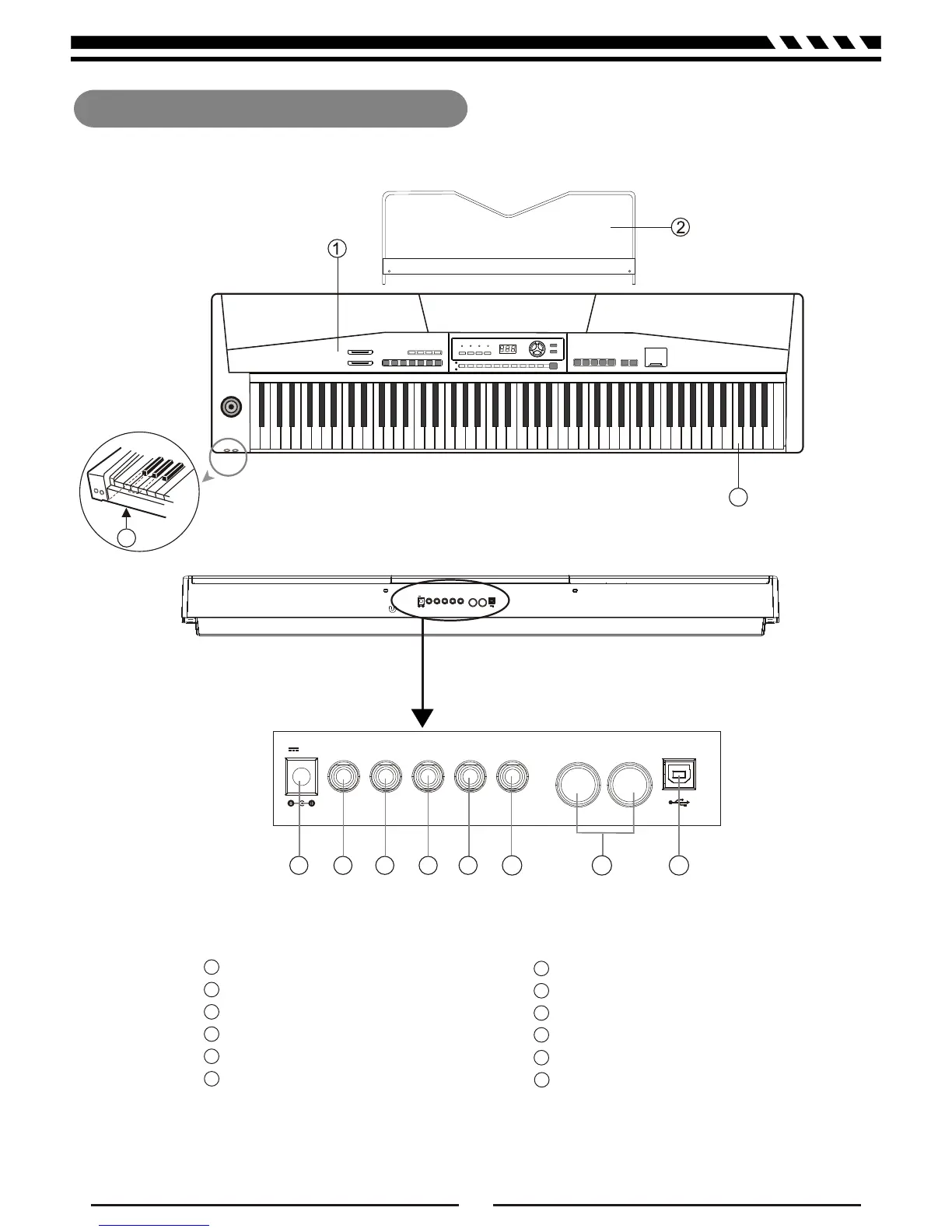 Page #5 background image