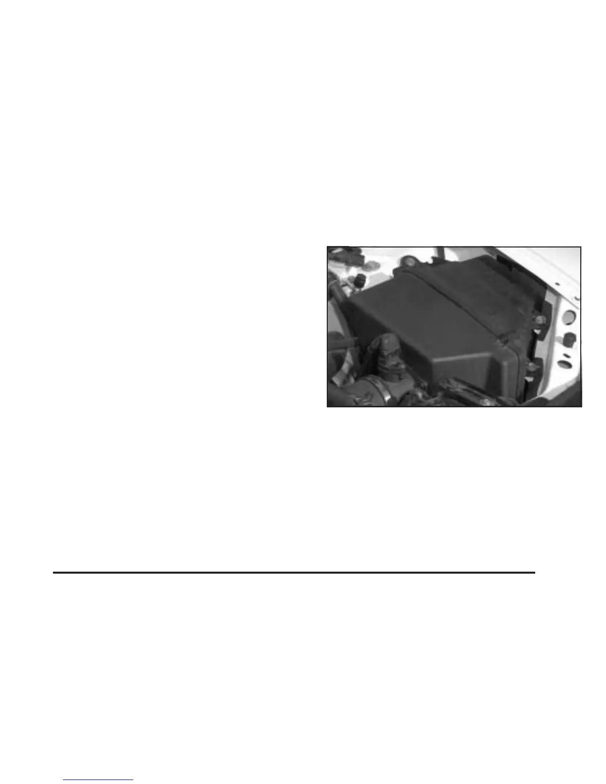 Page #295 background image