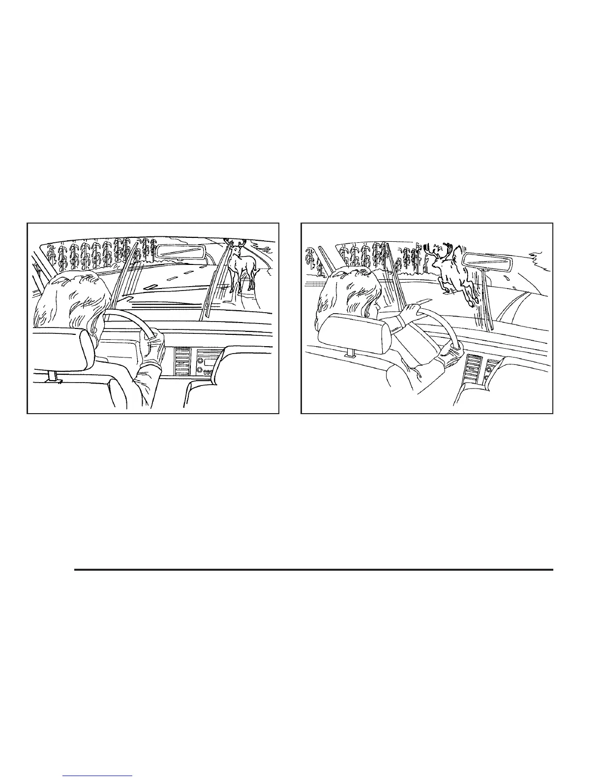 Page #242 background image