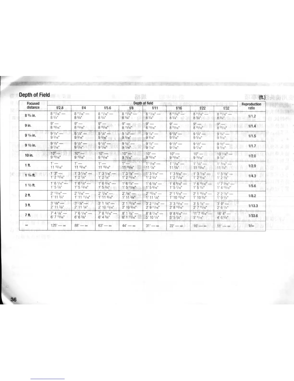 Page #7 background image