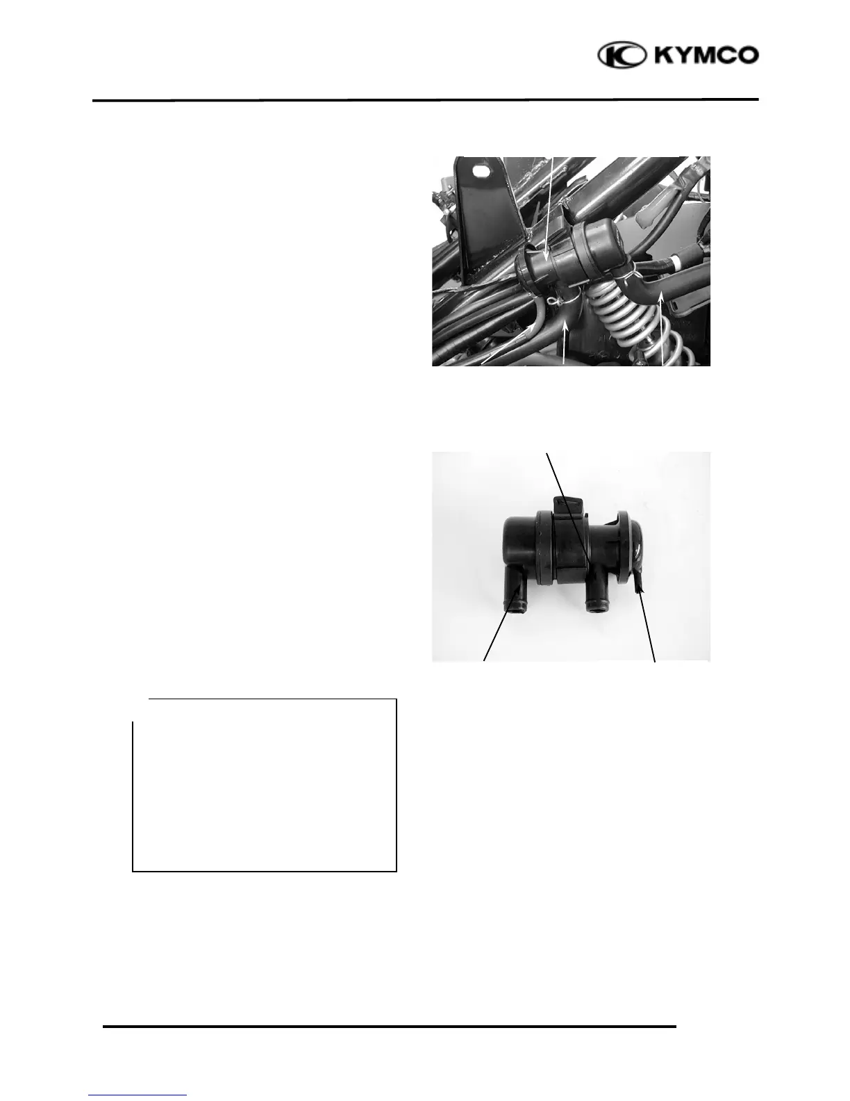 Page #224 background image