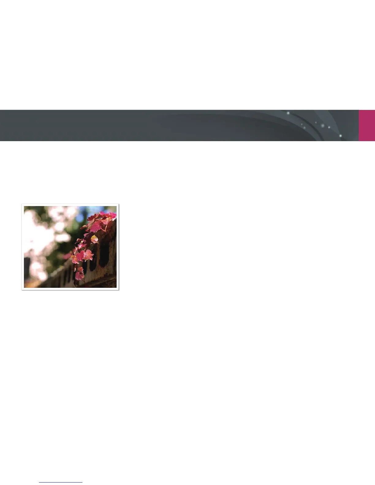 Page #63 background image