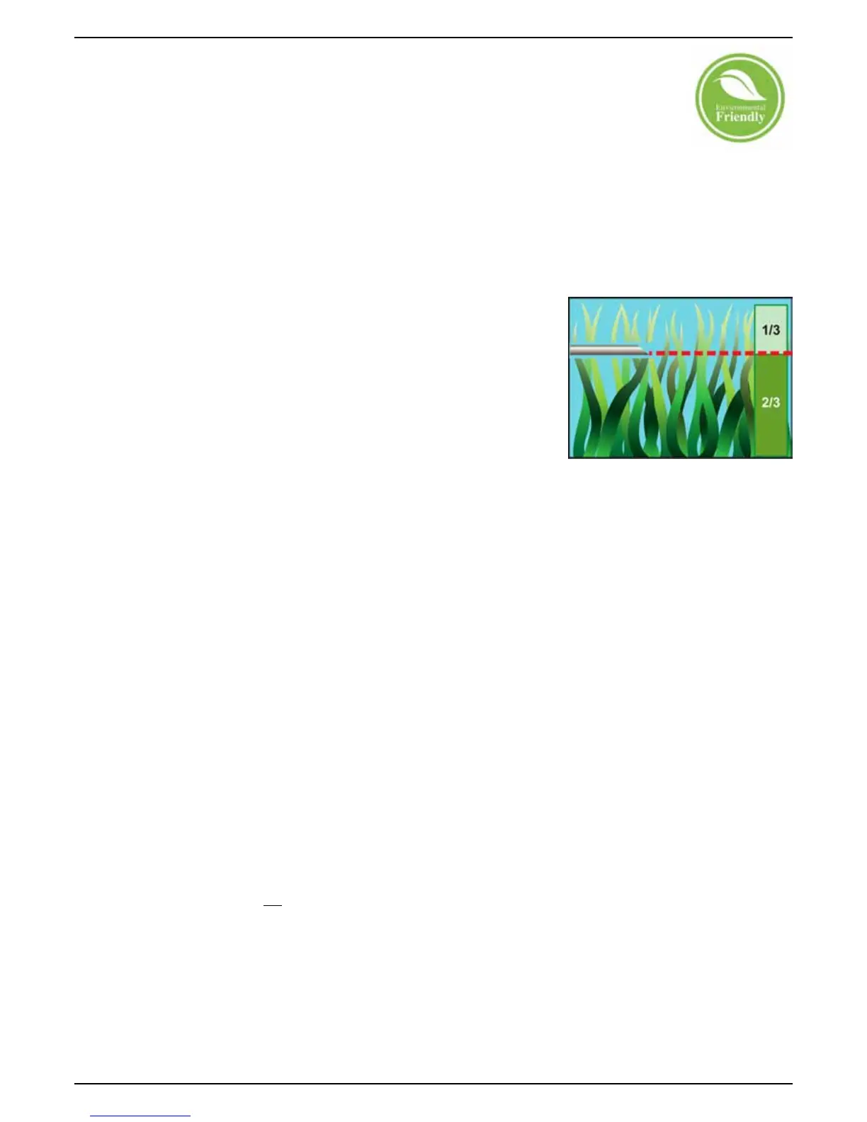 Page #81 background image