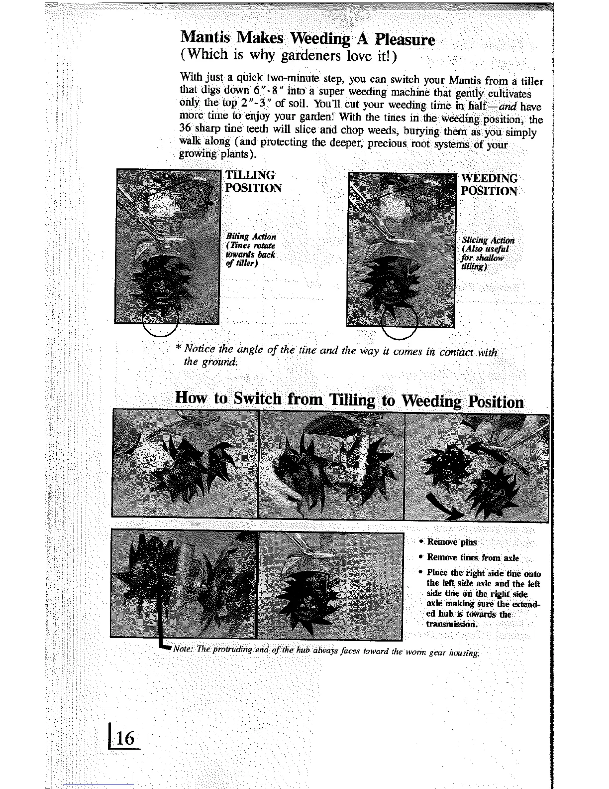 Page #16 background image