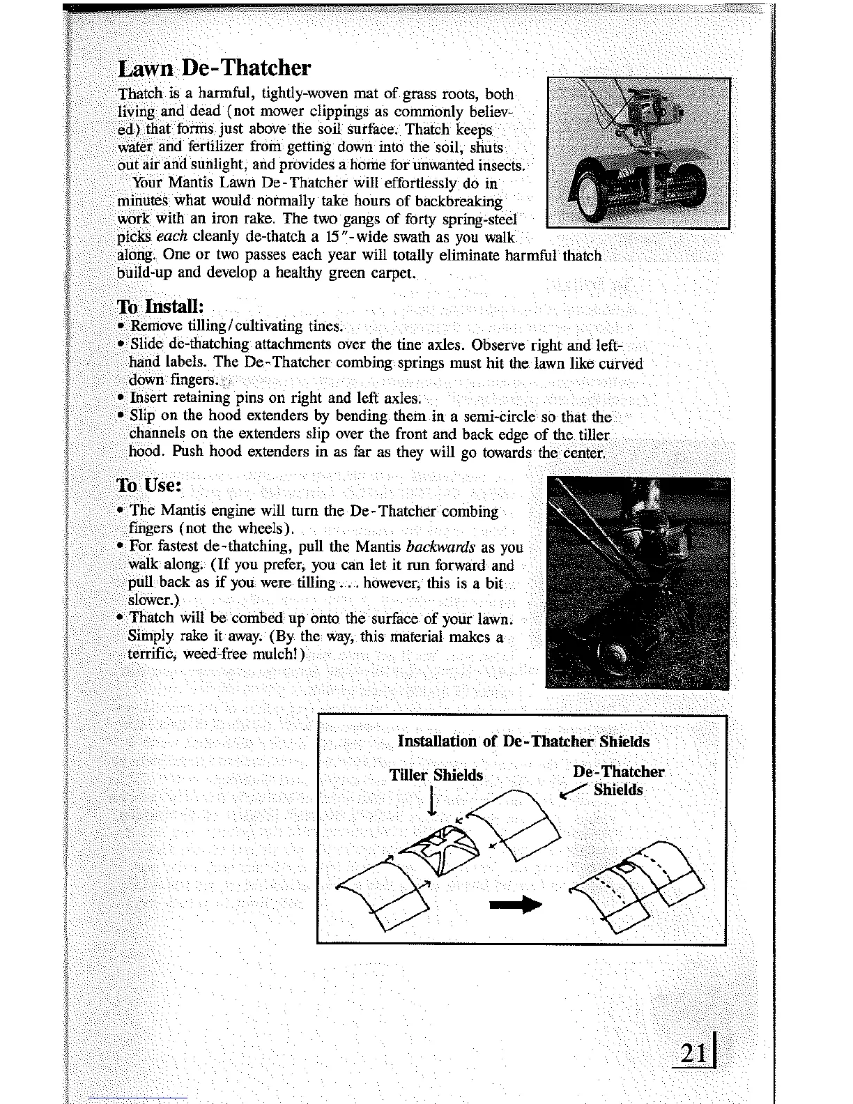 Page #21 background image