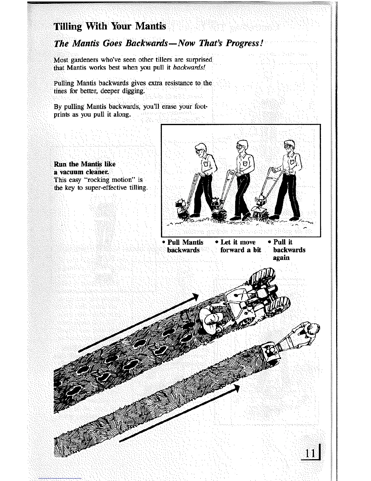 Page #11 background image
