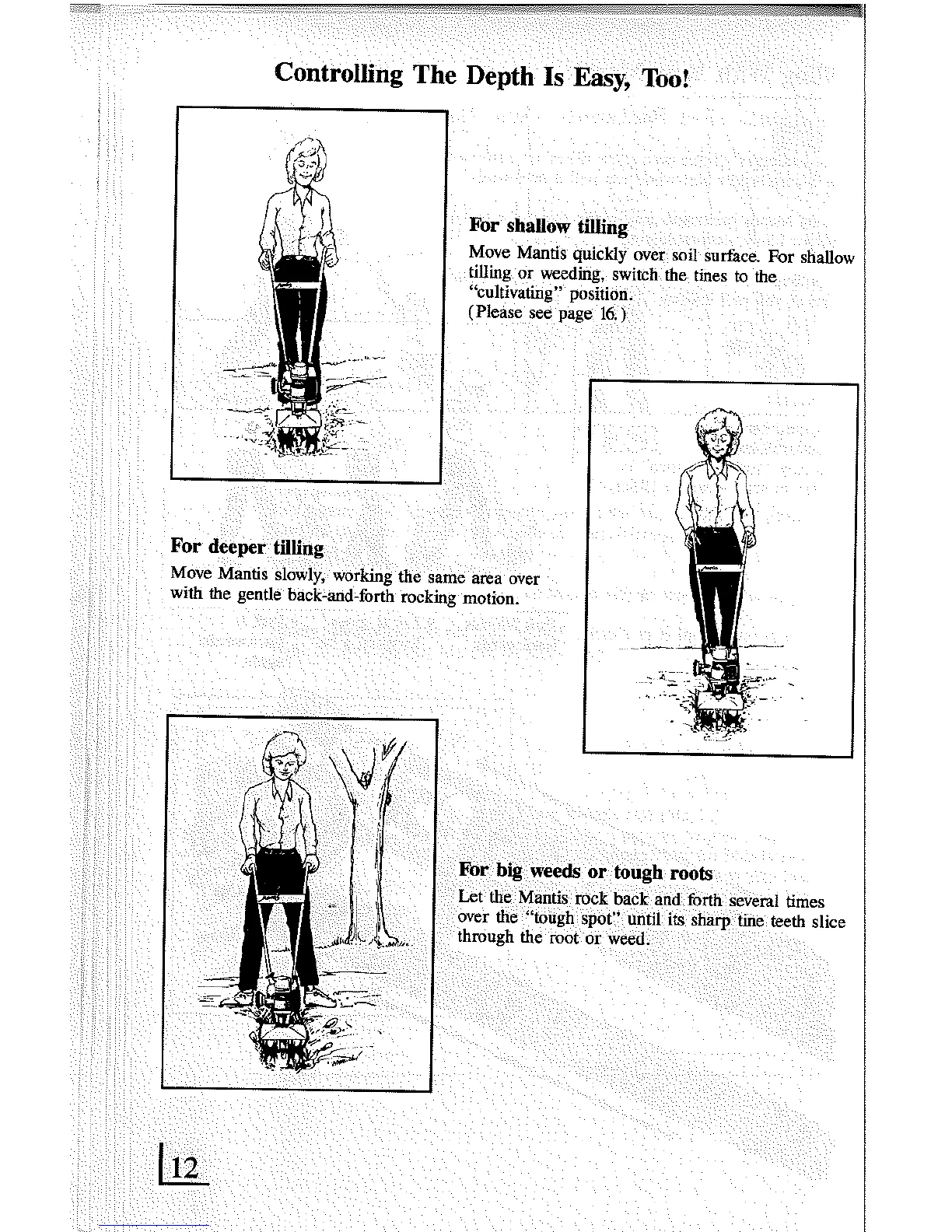 Page #12 background image