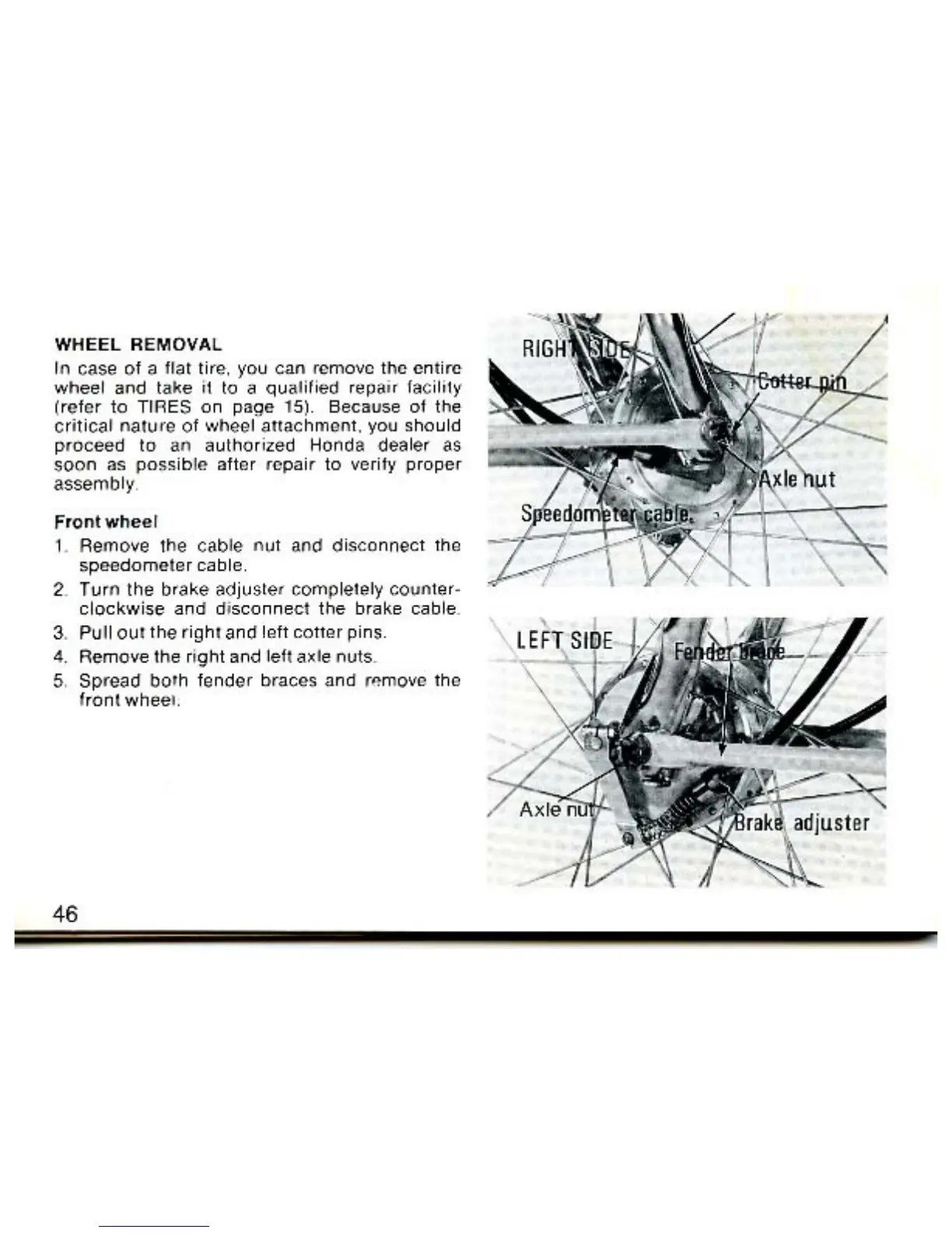 Page #46 background image