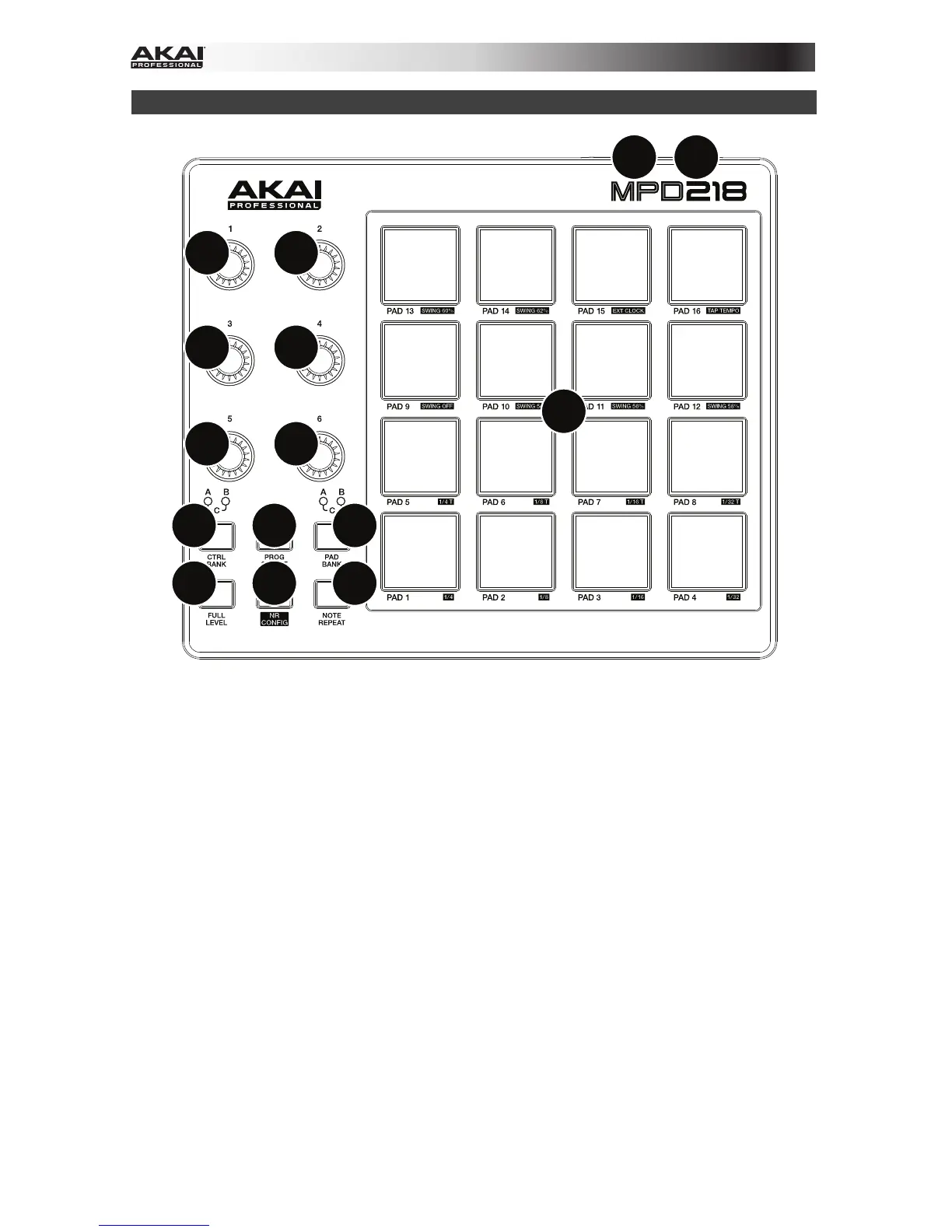 Page #10 background image