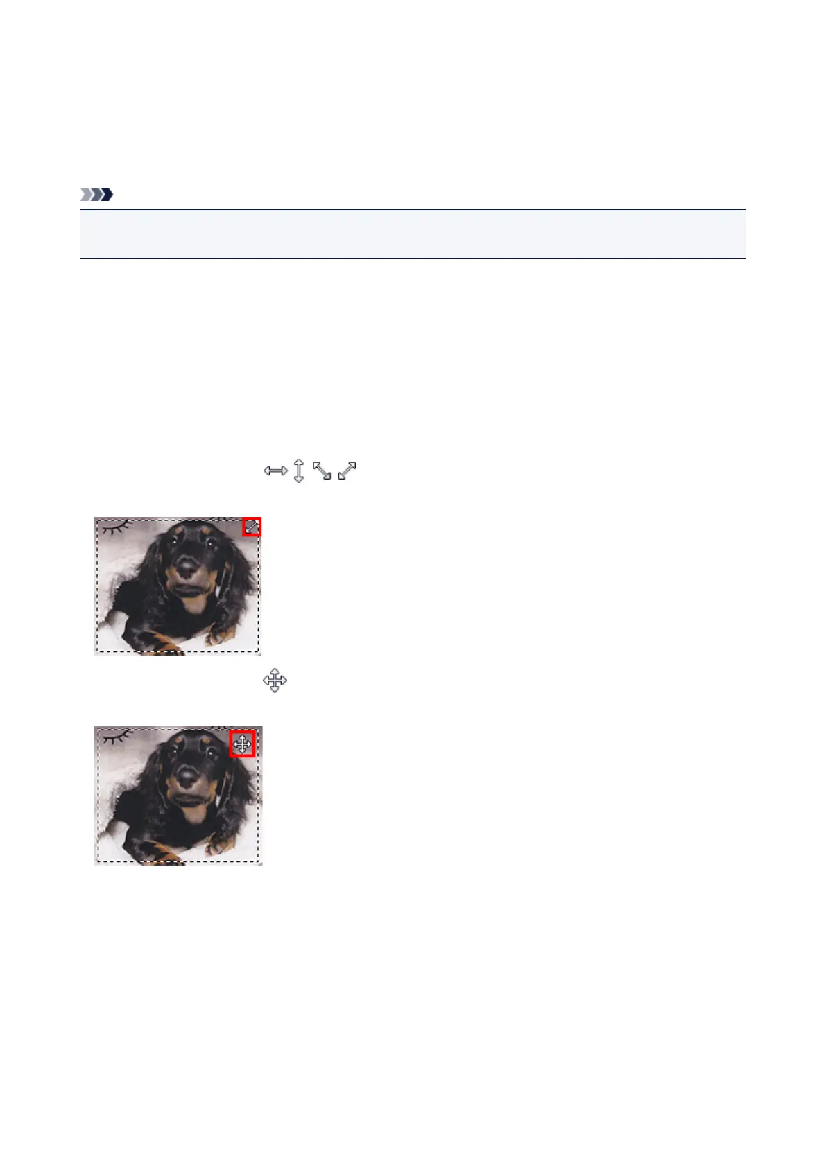 Page #533 background image