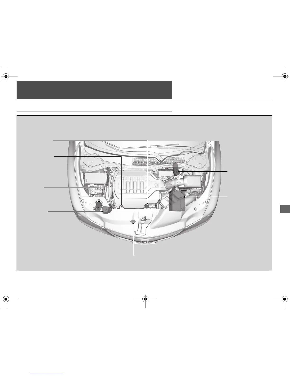 Page #448 background image