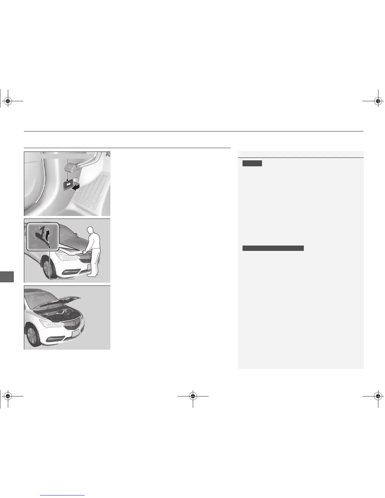 Page #449 background image