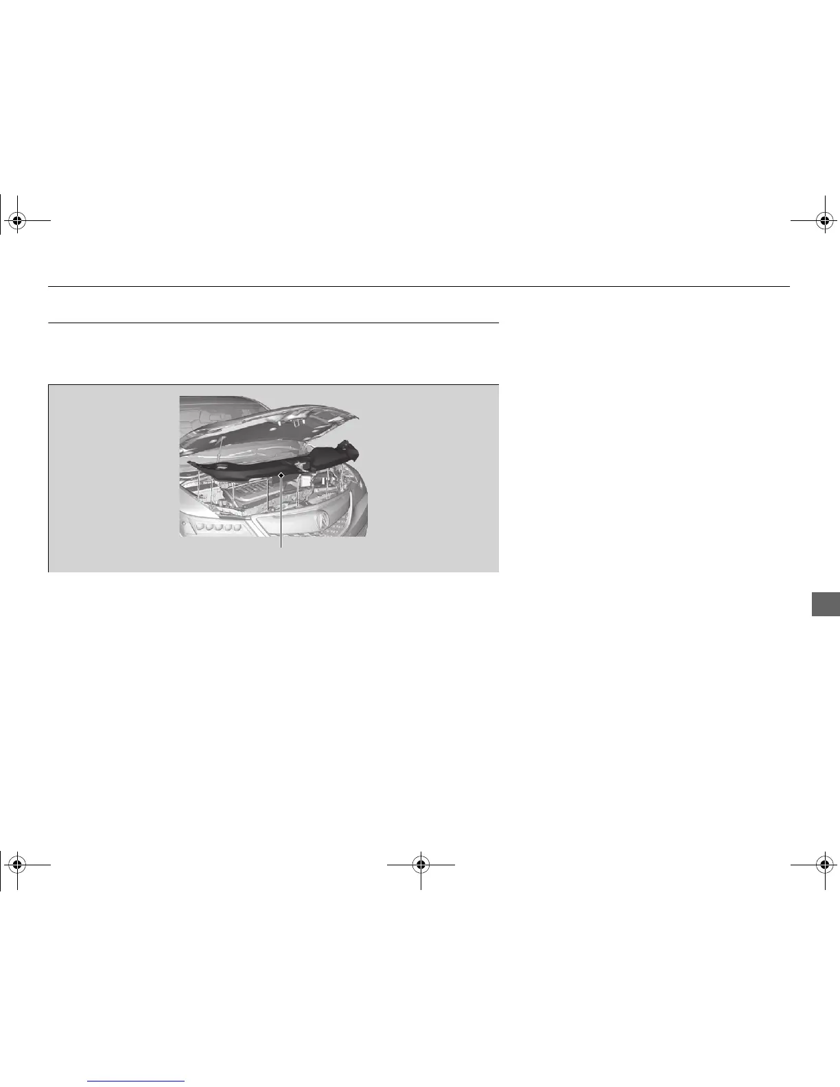 Page #450 background image