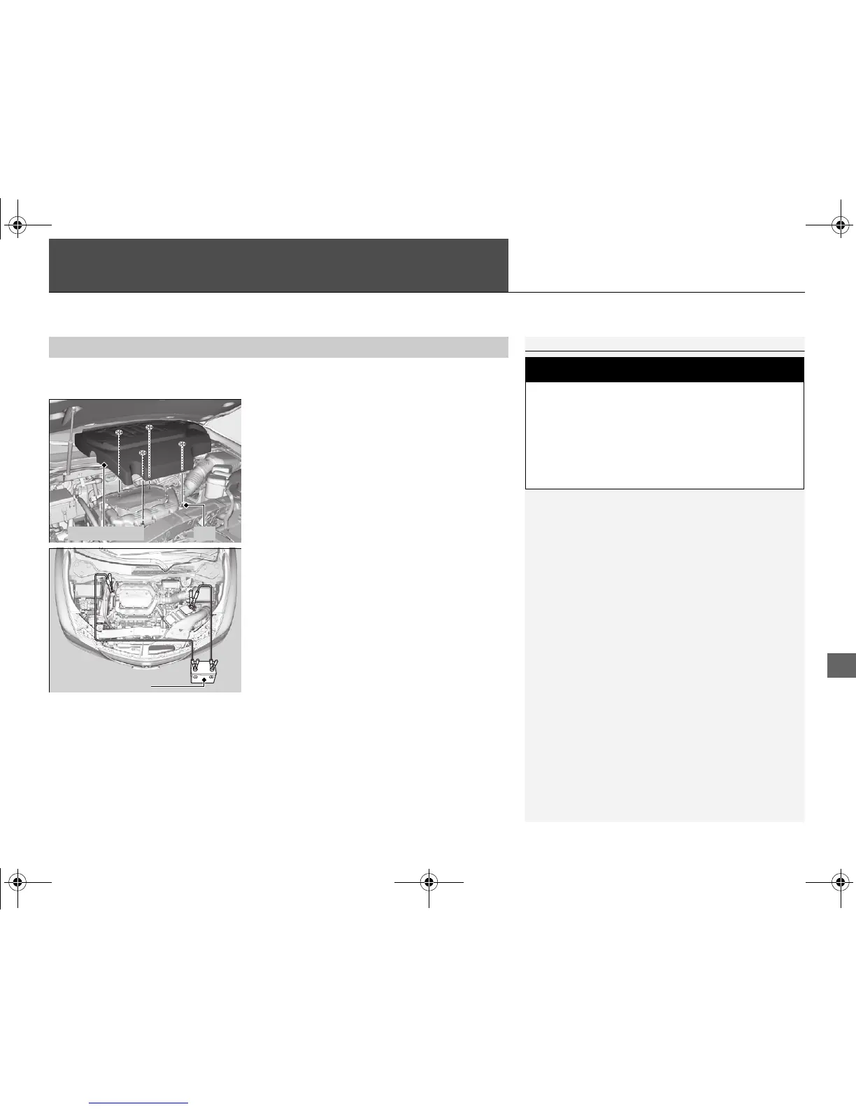 Page #516 background image