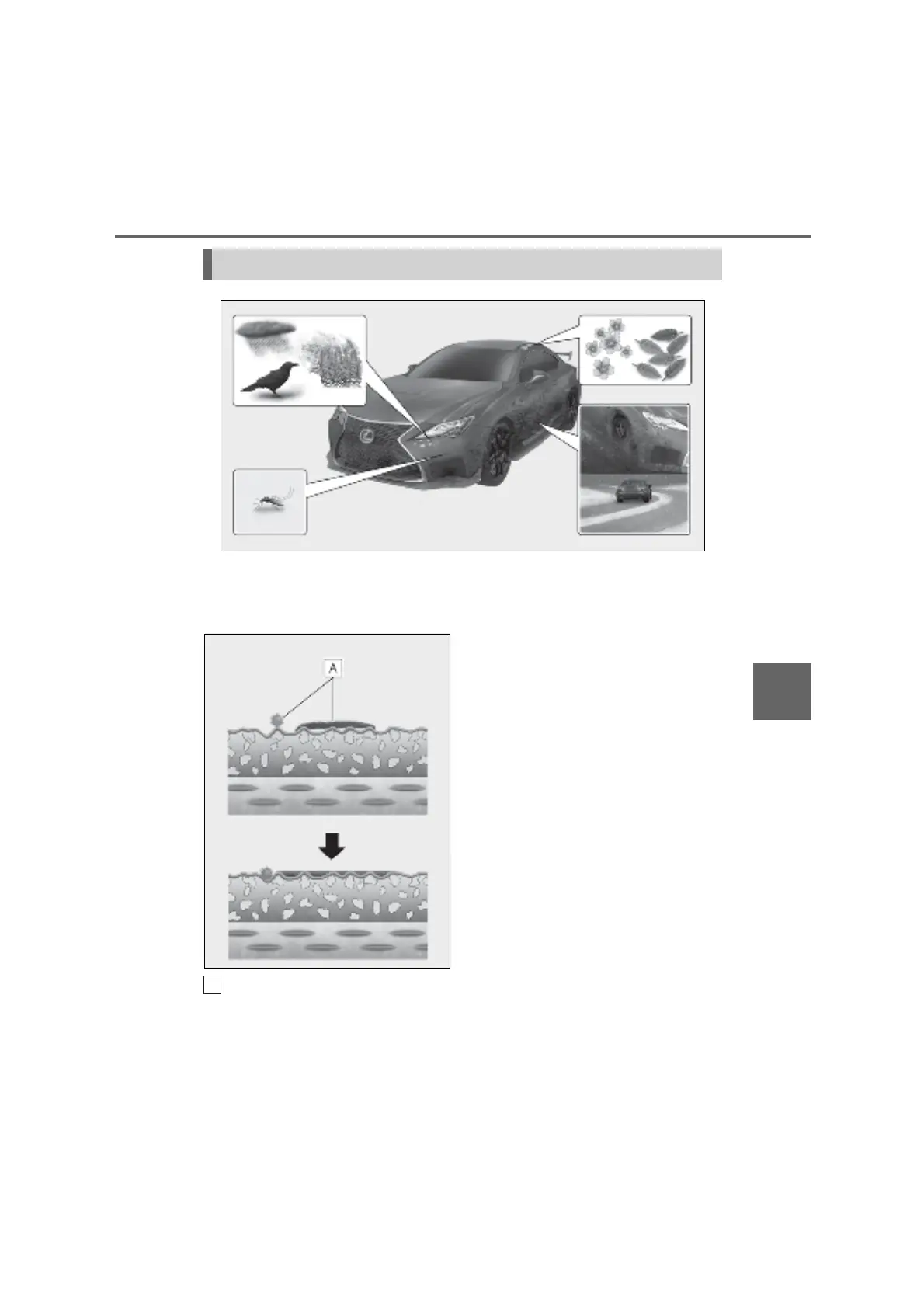 Page #293 background image