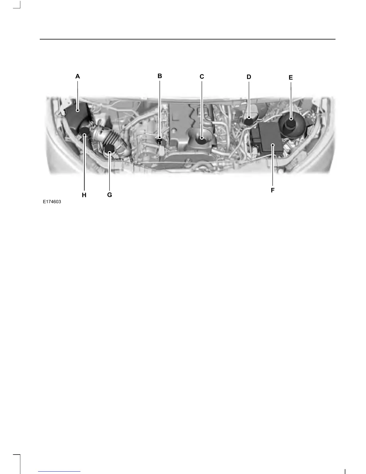 Page #214 background image