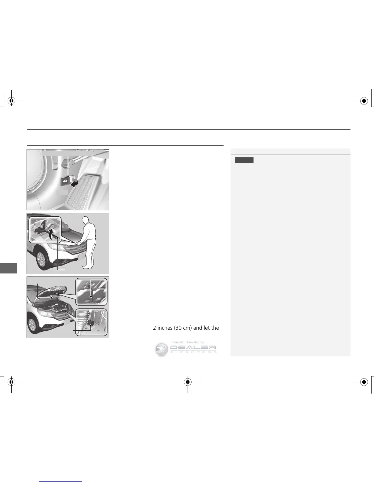 Page #300 background image