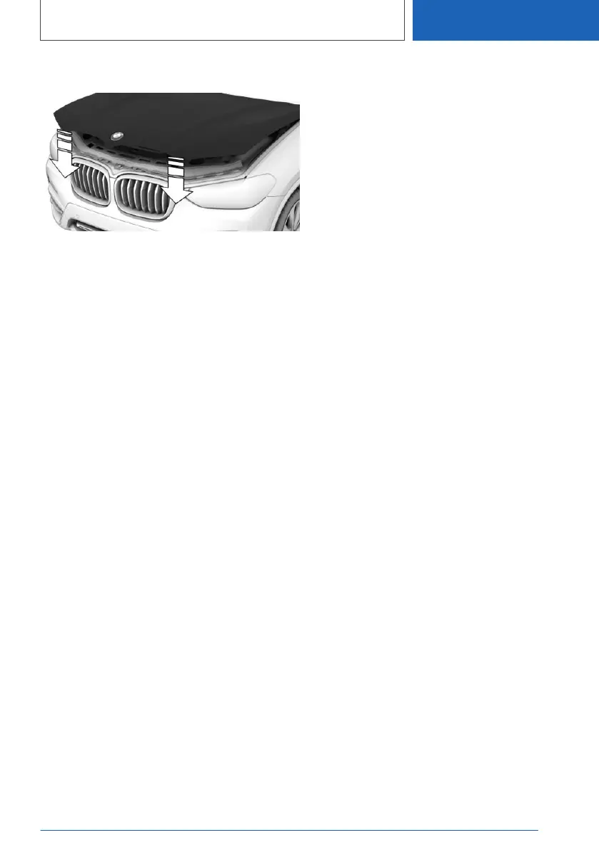 Page #351 background image
