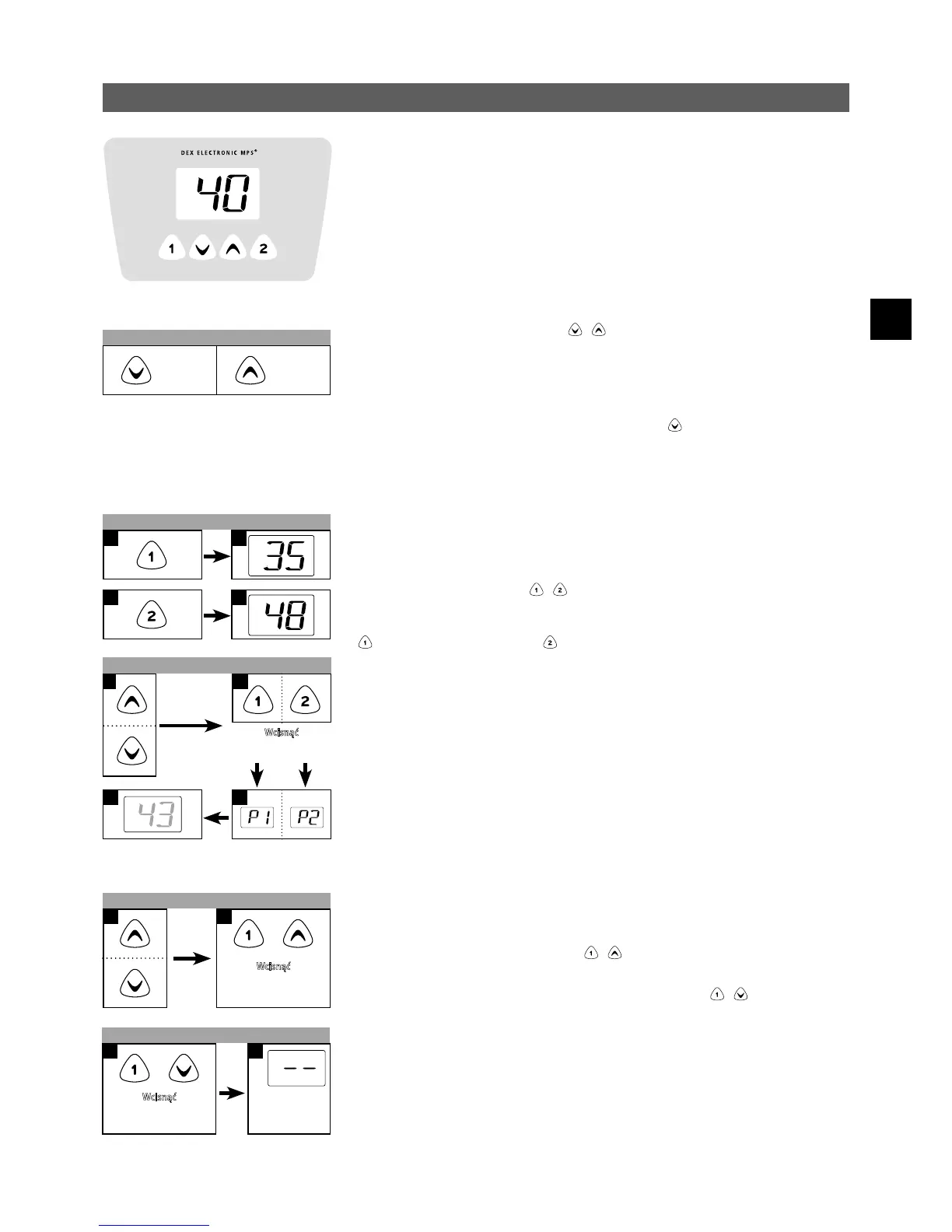 Page #19 background image
