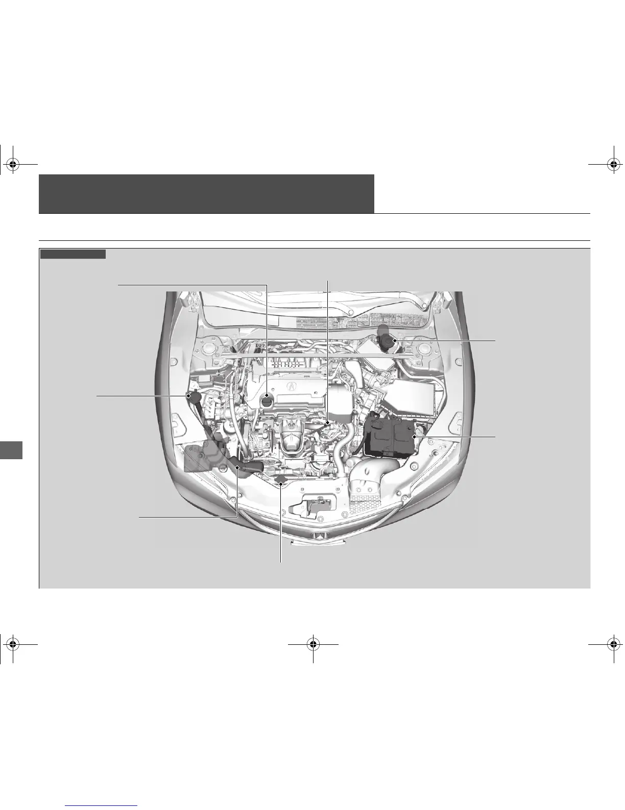 Page #441 background image