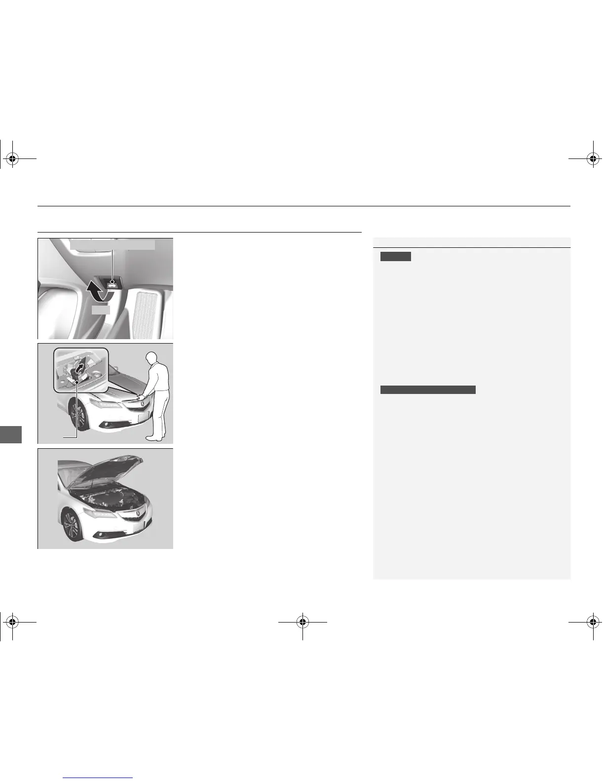 Page #443 background image