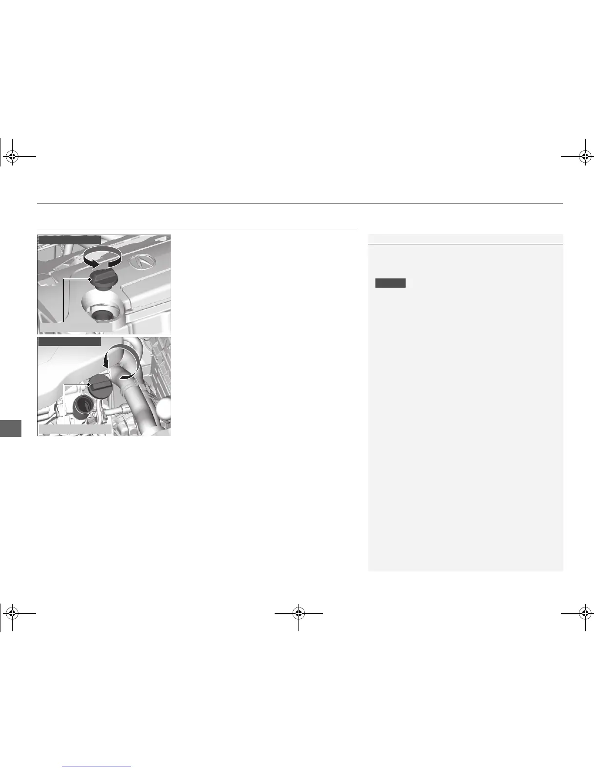 Page #447 background image
