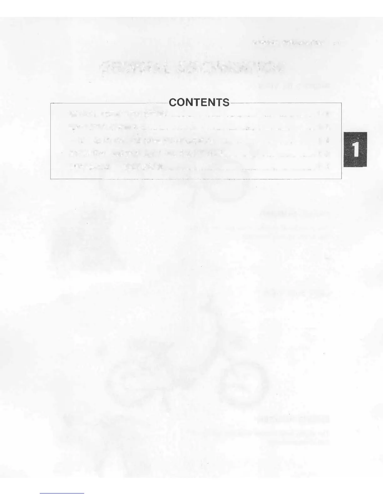 Page #4 background image