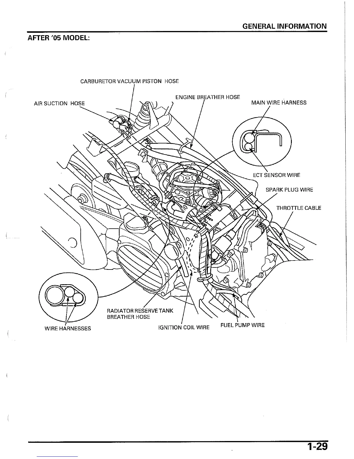 Page #29 background image