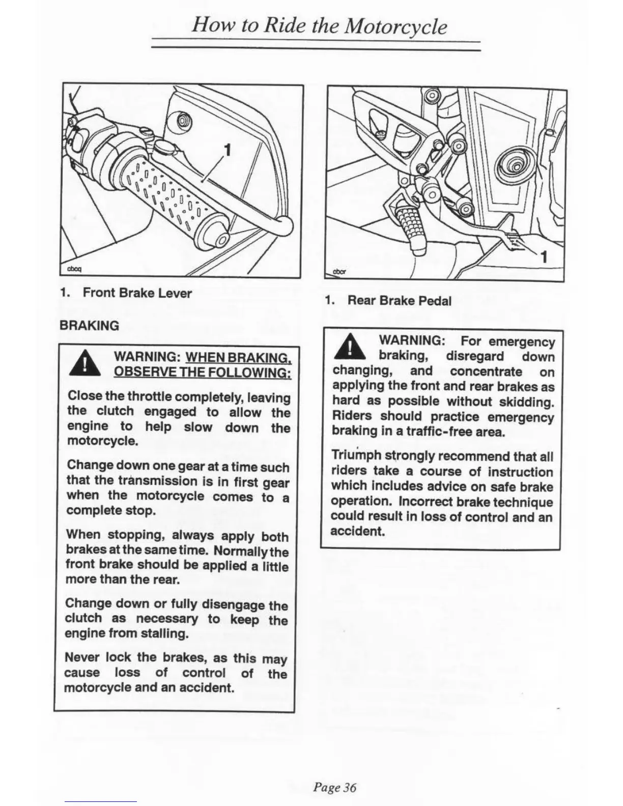 Page #37 background image