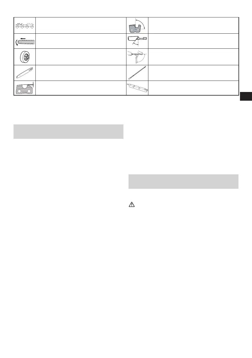 Page #65 background image