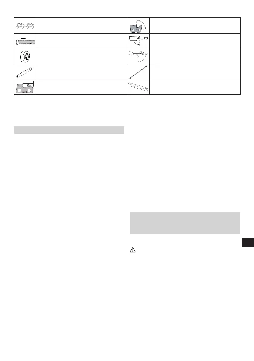 Page #185 background image
