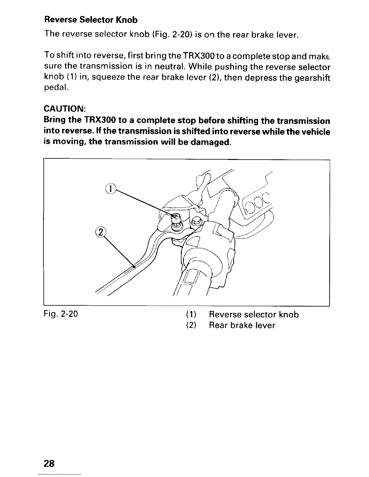 Page #33 background image