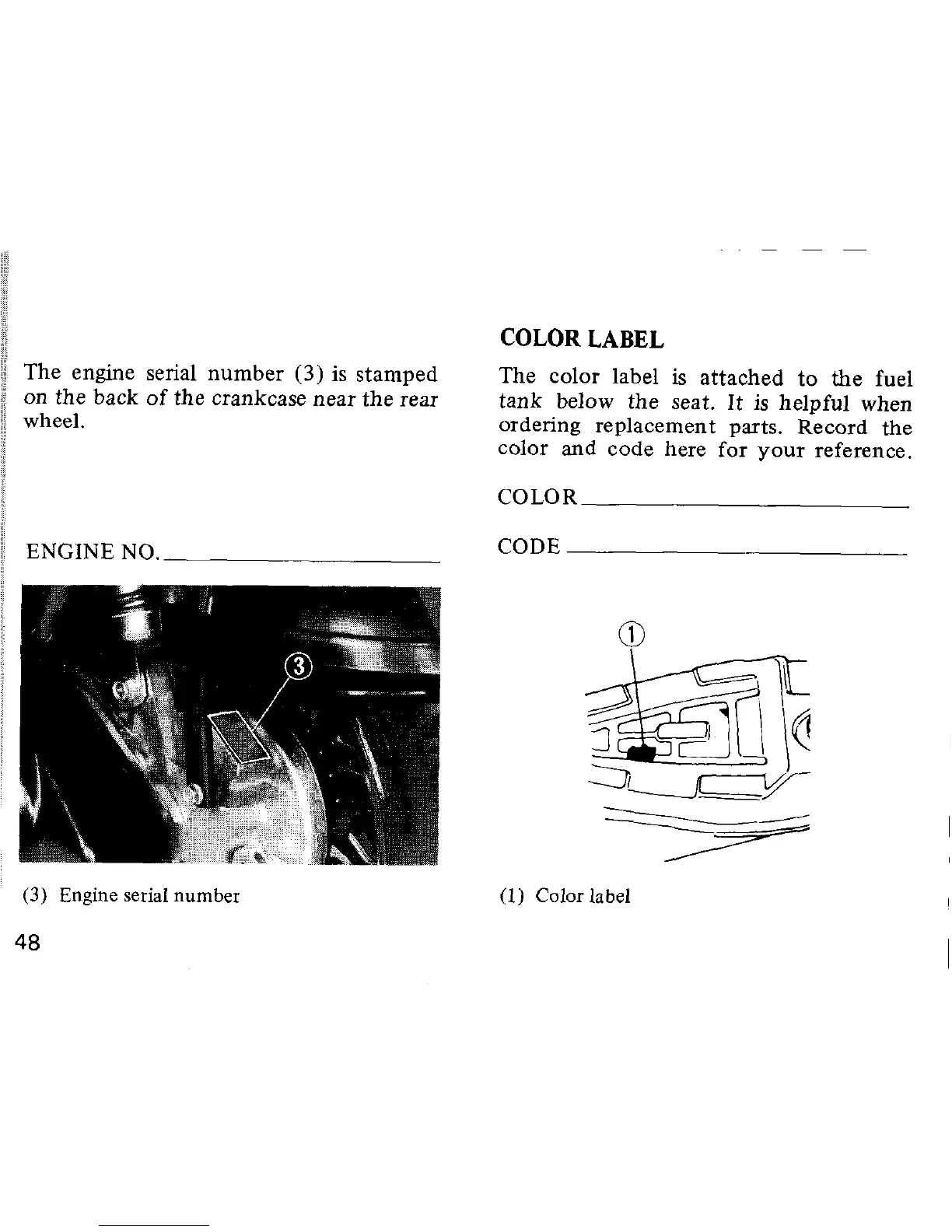Page #54 background image
